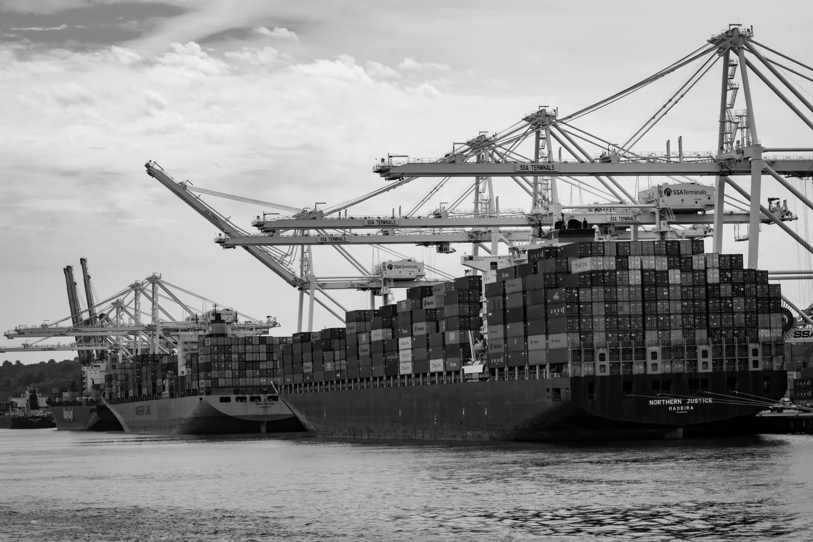 Le commerce mondial peut-il prédire la propagation des espèces invasives ?