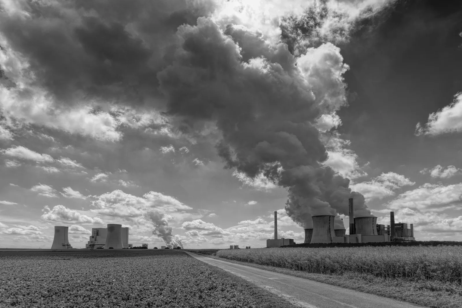 Du carbone à la biodiversité : bâtir le prochain pilier de la stratégie ESG