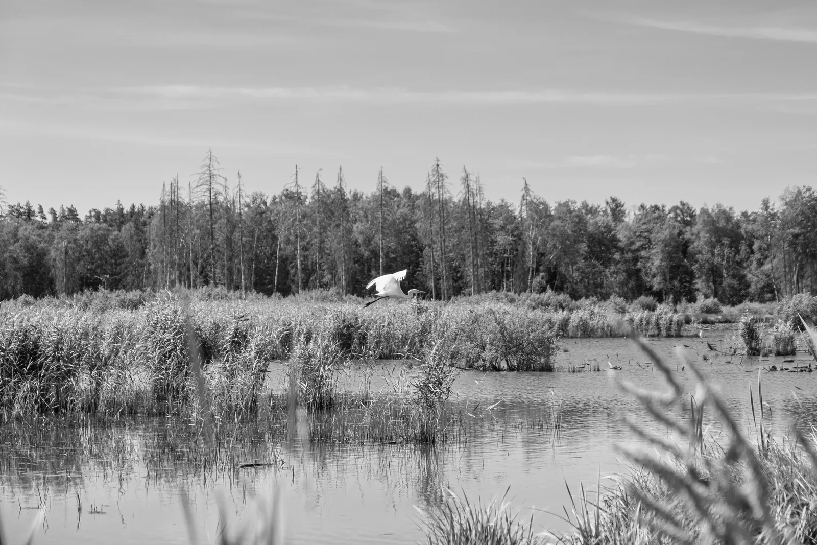 The same risk, modelled twice: why climate and nature are 2 models of one exposure