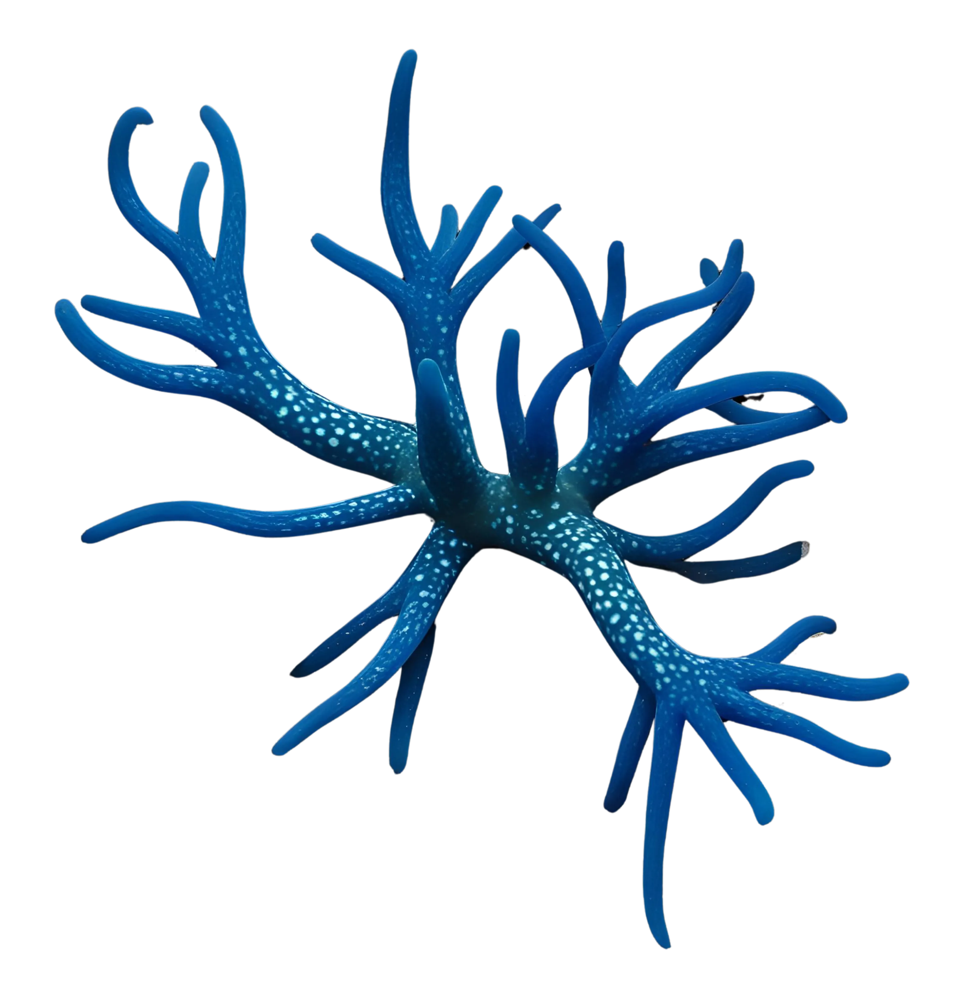 Why is marine biodiversity footprinting behind?