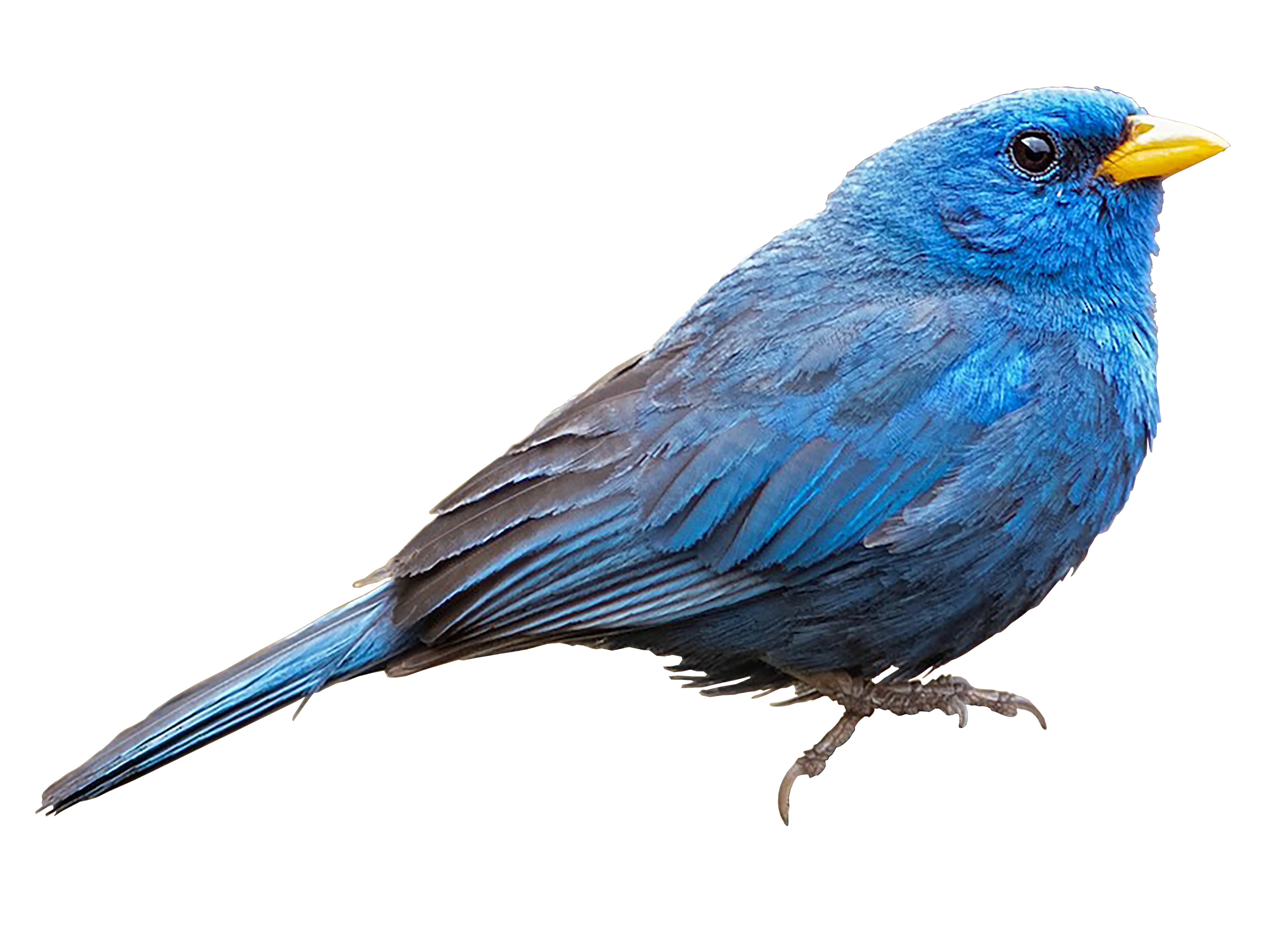 Nature risks: beyond sites, beyond carbon.